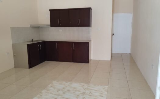 Utitlities 1 Bedroom Apartment, Arouca