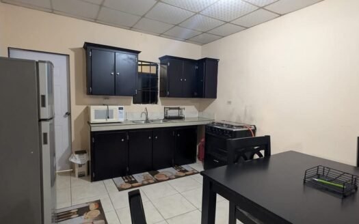 Furnished 2 Bedroom Apartment Freeport