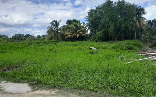 Residential Land For Sale Agostini Settlement