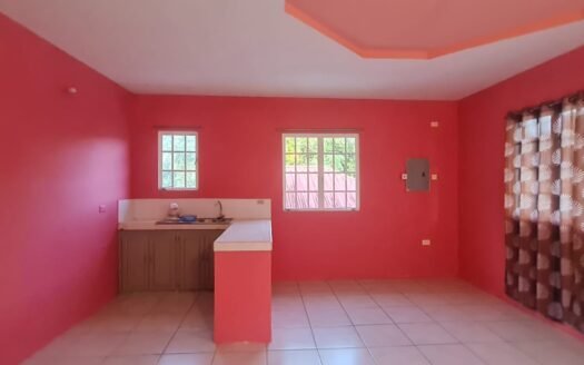 2 Bedroom Apartment Williamsville