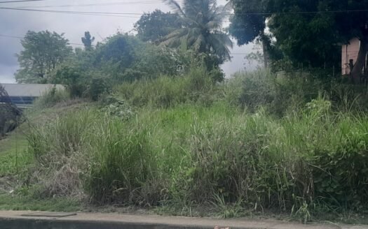 Land For Sale ,Eastern Main Road, D’Abadie