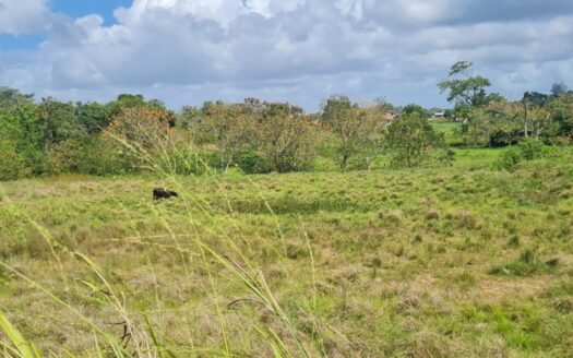 Land For Sale in Barrackpore