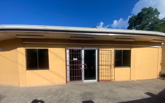 Commercial Building Diego Martin