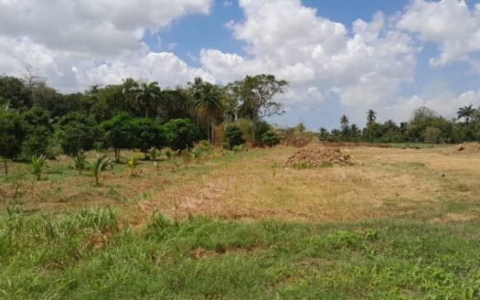 3 Acres Residential Land For Sale El Carmen Tr. # 1 St. Helena