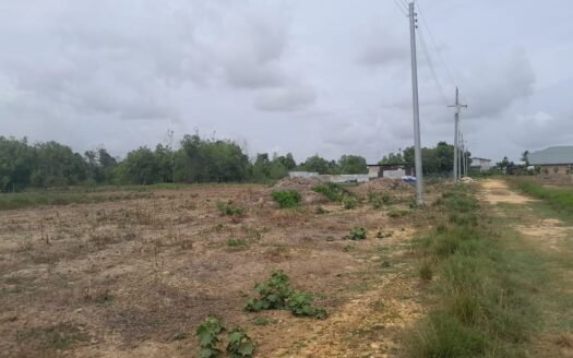 Land For Sale Land in Sharda Park, Chin Chin