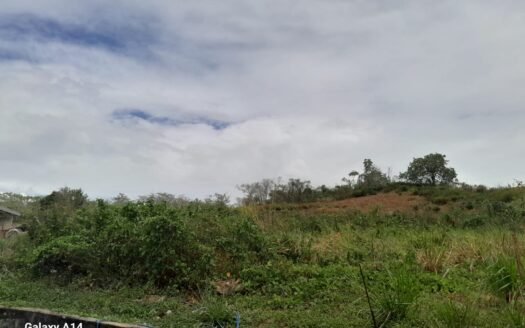 Land For Sale Santa Phillipa Road, Caparo