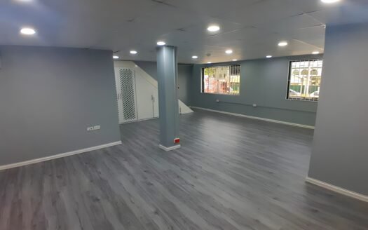 Commercial Space Curepe
