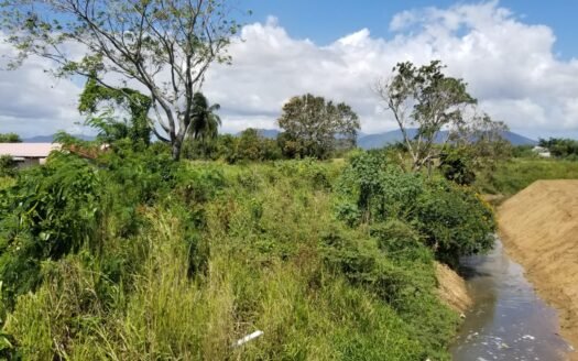 Residential Land For Sale Charlieville