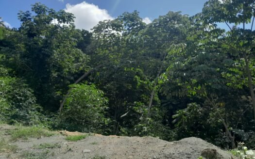 Land For Sale Golden Lane, Tobago