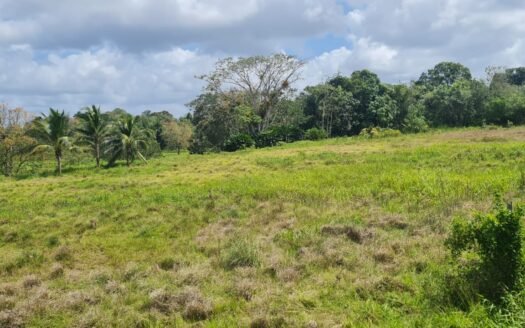 Land For Sale in Barrackpore